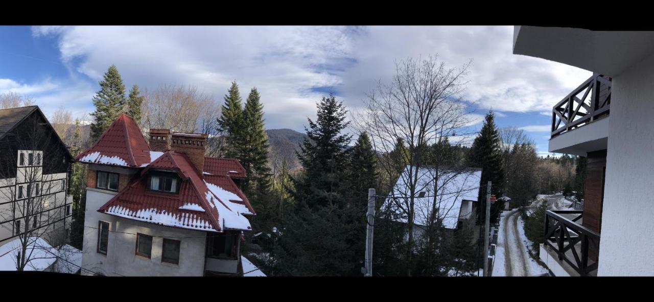 Casa Larisa - Wolves Apartment Sinaia Eksteriør billede