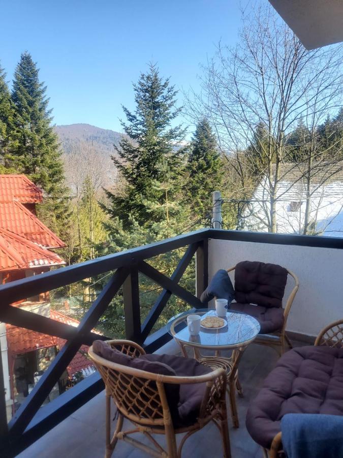 Casa Larisa - Wolves Apartment Sinaia Eksteriør billede