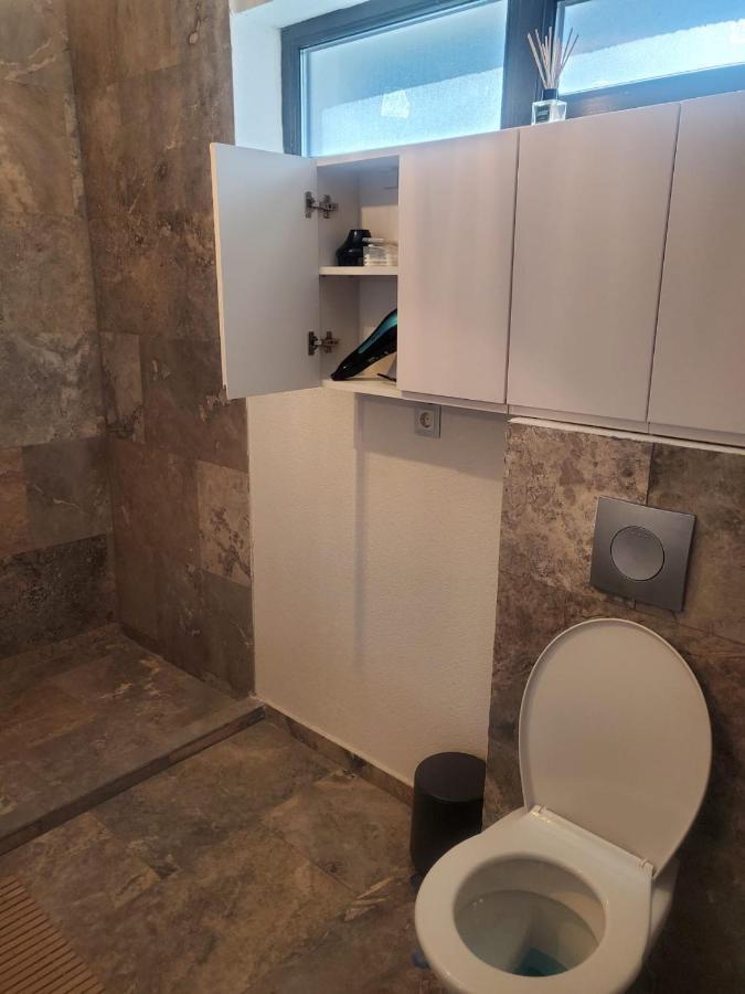 Casa Larisa - Wolves Apartment Sinaia Eksteriør billede