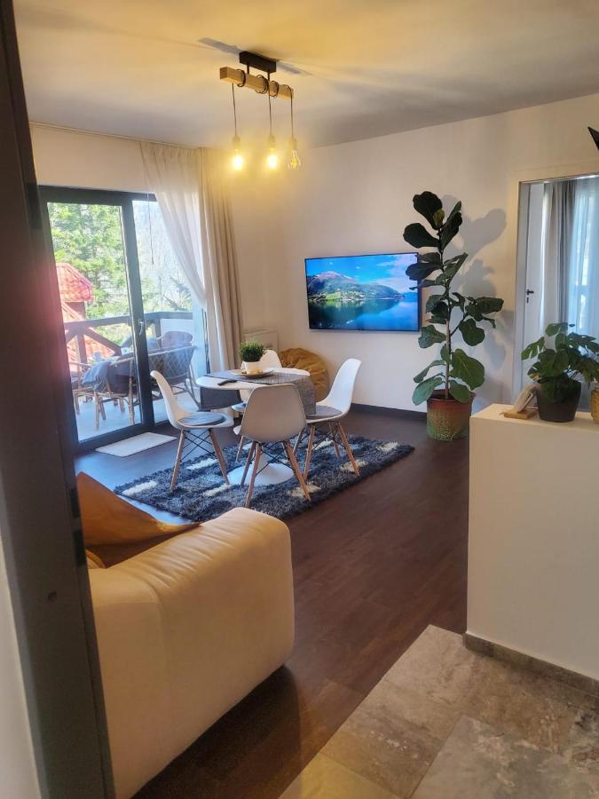 Casa Larisa - Wolves Apartment Sinaia Eksteriør billede